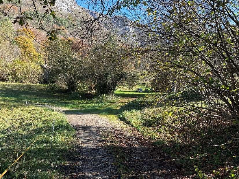 immobile terreno all'asta in Localita' Besta - 38067 Ledro (TN) - 3