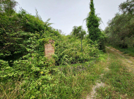 immobile terreno all'asta in via Celso snc - 54035 Fosdinovo (MS) - 1