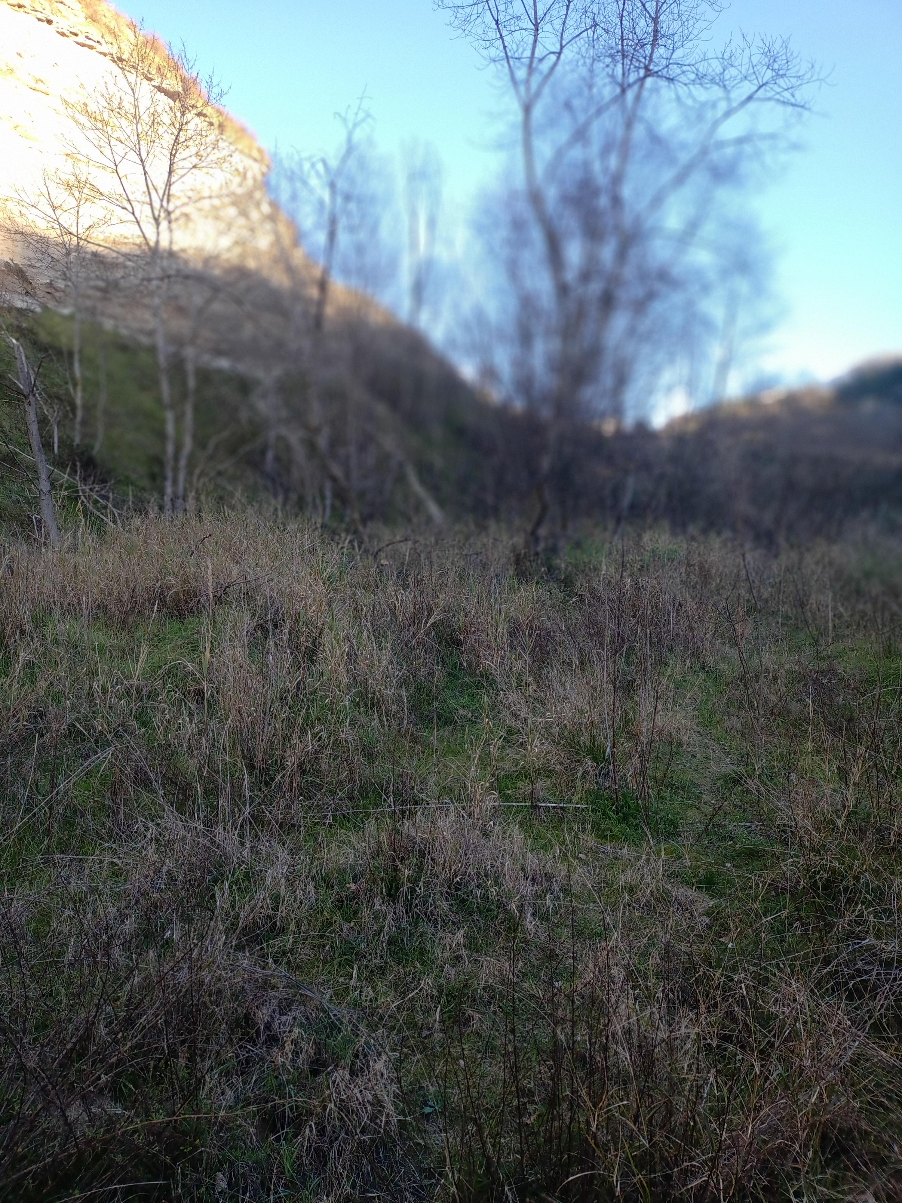 immobile terreno all'asta in Via - Zumpano (CS) - 1