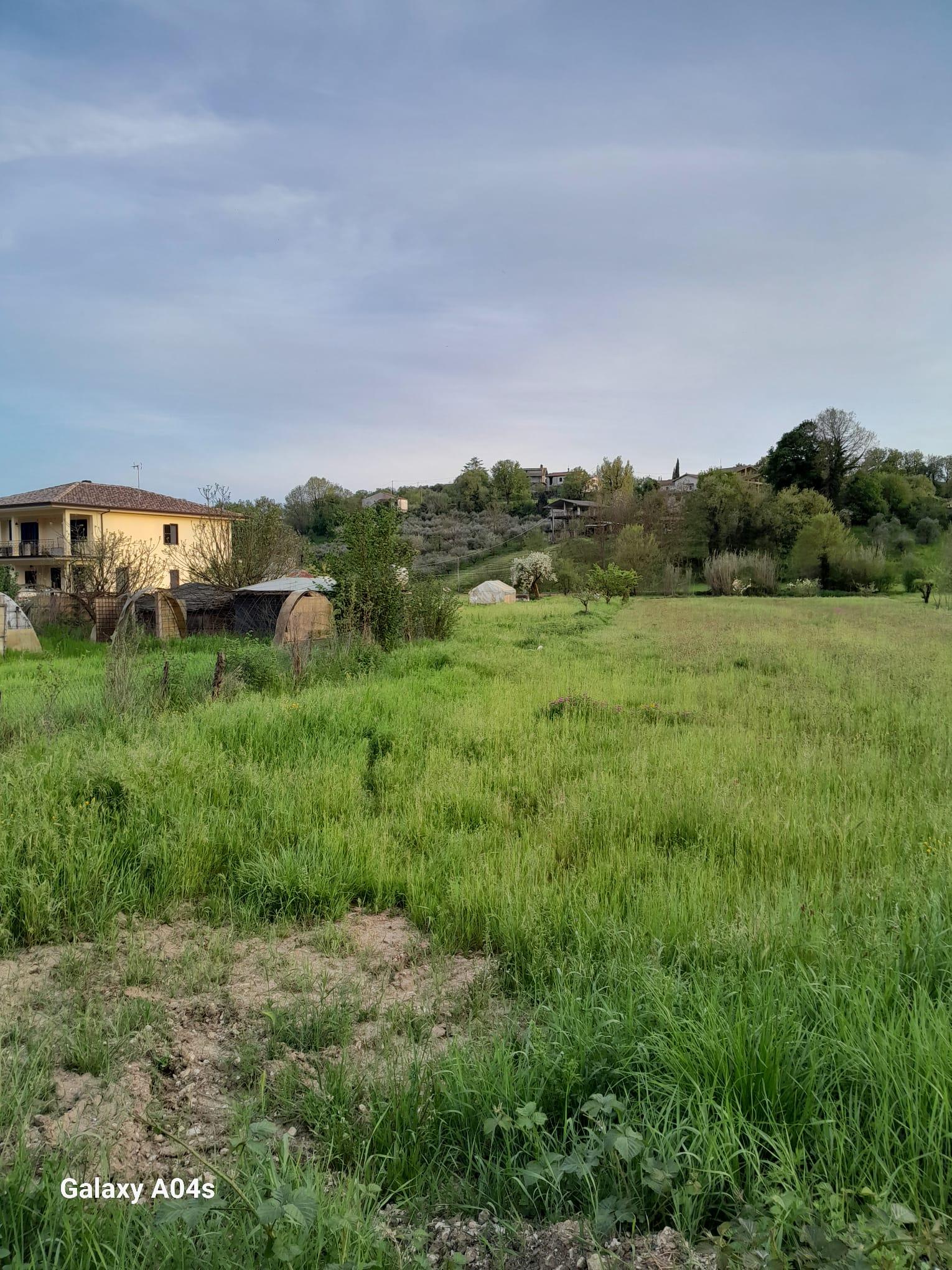 immobile terreno all'asta in Via S Rocco Montecchie, 03013 Ferentino FR, Italia Ferentino, Frosinone - 1