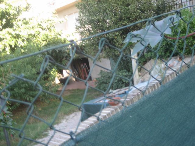 immobile garage all'asta in Via IV Novembre - 63035 Offida (AP) - 4