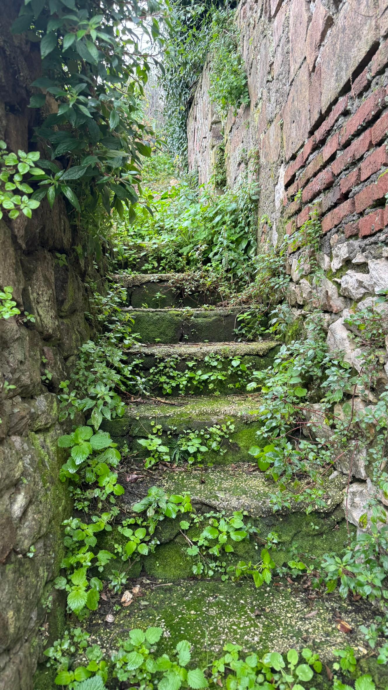 immobile terreno all'asta in Via Giacomo Matteotti, 37, 04010 Cori LT, Italia Cori, Latina - 1