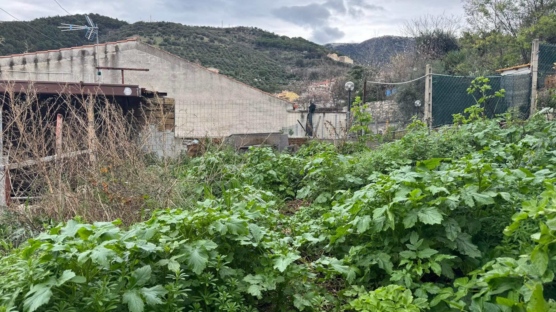 immobile terreno all'asta in Via Giacomo Matteotti, 37, 04010 Cori LT, Italia Cori, Latina - 4