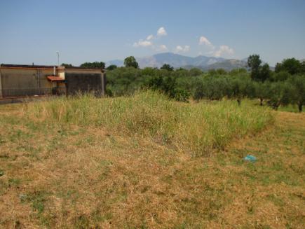 immobile terreno all'asta in Via Filaro, 81037 San Castrese CE, Italia - 80137 Sessa Aurunca (CE) - 1