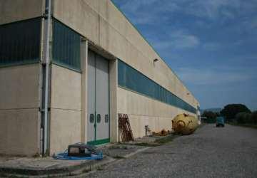 immobile capannone all'asta in Contrada Chianizzi - 85038 Senise (PZ) - 5