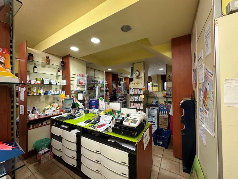 immobile negozio all'asta in via Viotti 14 - 13040 Fontanetto Po (VC) - 3