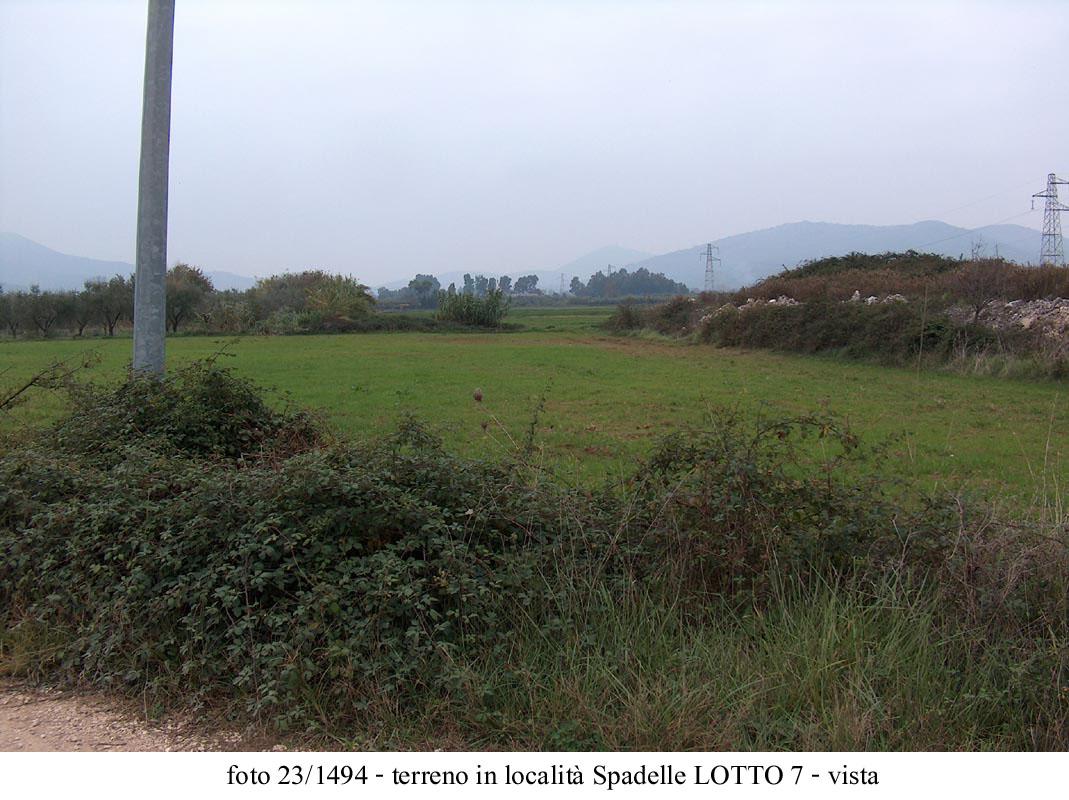 immobile terreno all'asta in località Spadelle - Priverno (LT) - 1