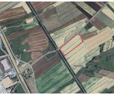 immobile terreno all'asta in Loc Vallone - 53048 Sinalunga (SI) - 2