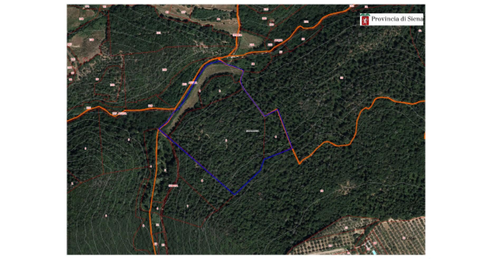 immobile terreno all'asta in Loc Vallone - 53048 Sinalunga (SI) - 4