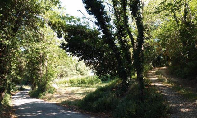 immobile terreno all'asta in Contrada Acquaviva, 60036 Montecarotto AN, Italia Montecarotto, Ancona - 5