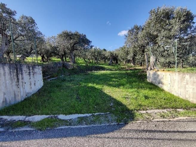 immobile terreno all'asta in Via Selvotta, 66054 Vasto CH, Italia Vasto, Chieti - 2