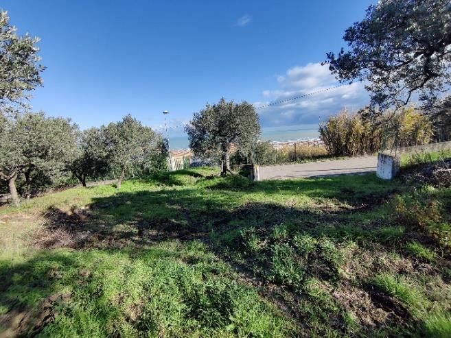 immobile terreno all'asta in Via Selvotta, 66054 Vasto CH, Italia Vasto, Chieti - 3