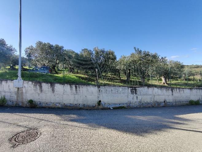 immobile terreno all'asta in Via Selvotta, 66054 Vasto CH, Italia Vasto, Chieti - 4