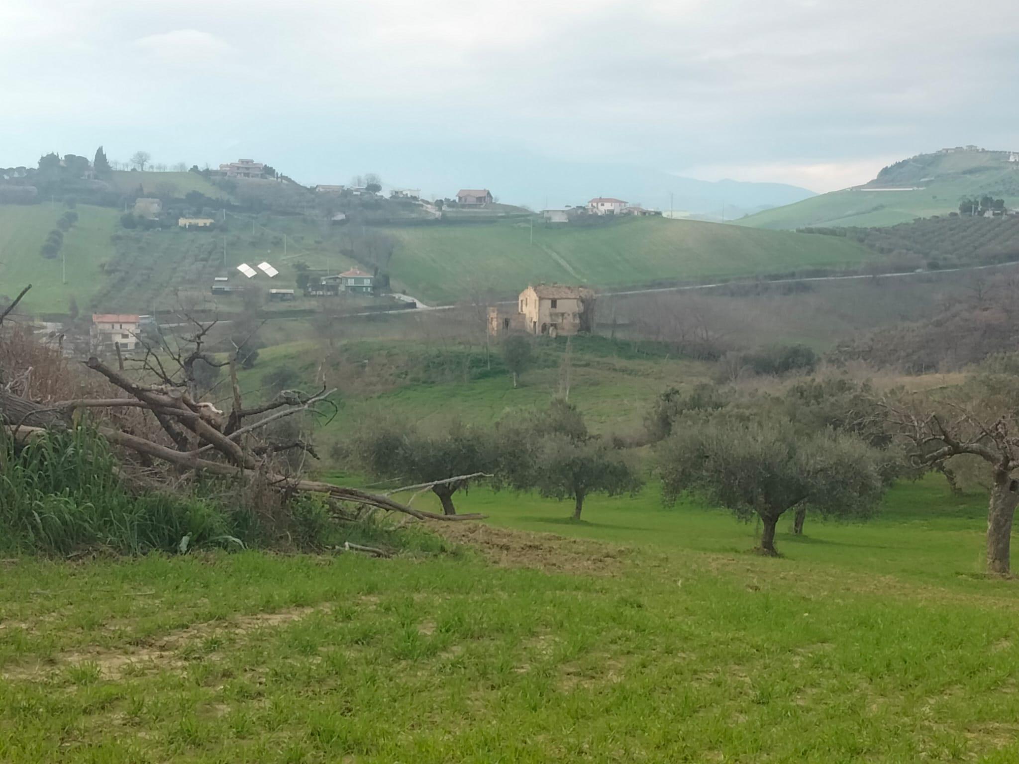 immobile terreno all'asta in 64020 Ripattoni TE, Italia - 64020 Bellante (TE) - 1