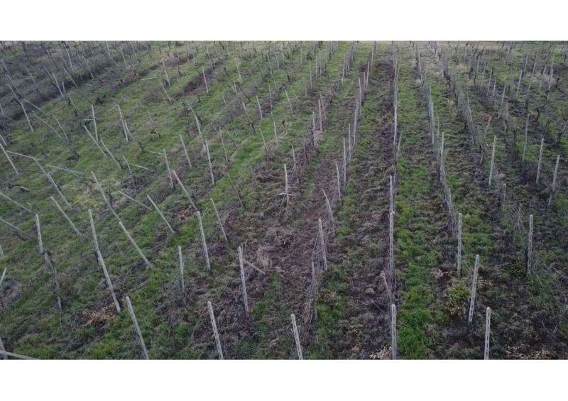immobile terreno all'asta in Frazione Pieve, 27040 Rovescala PV, Italia Rovescala, Pavia - 1