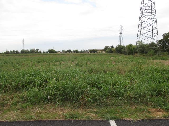 immobile terreno all'asta in Via Milano n 33 - 24047 Treviglio (BG) - 4
