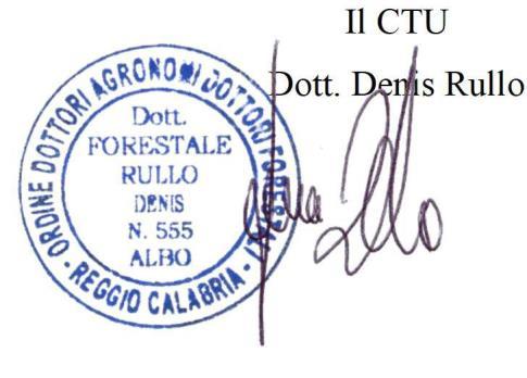 immobile terreno all'asta in via Milite Ignoto - 89036 Brancaleone (RC) - 2