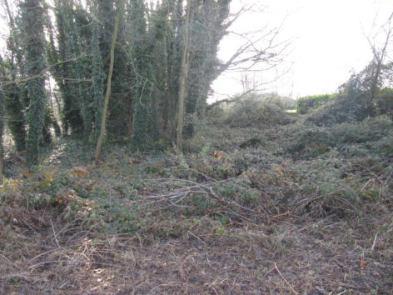 immobile terreno all'asta in Via - 26862 Guardamiglio (LO) - 3