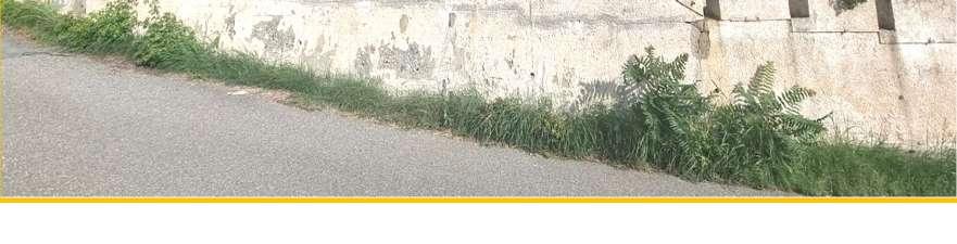 immobile appartamento all'asta in Località Torremezzo, Via Paradiso, 9 - 87030 Falconara Albanese (CS) - 2