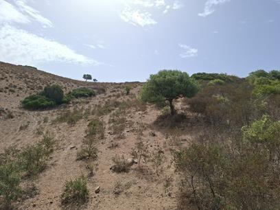 immobile terreno all'asta in SP11, 09040 Barrali SU, Italia Barrali, Sud Sardegna - 4