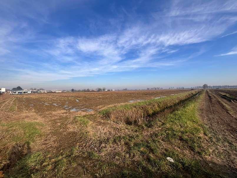 immobile terreno all'asta in SS 591 o Provinciale per Fombio - 26823 Castiglione d'Adda (LO) - 1