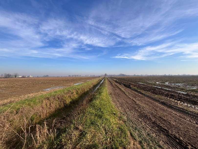 immobile terreno all'asta in SS 591 o Provinciale per Fombio - 26823 Castiglione d'Adda (LO) - 2