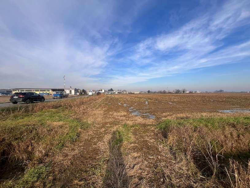 immobile terreno all'asta in SS 591 o Provinciale per Fombio - 26823 Castiglione d'Adda (LO) - 3