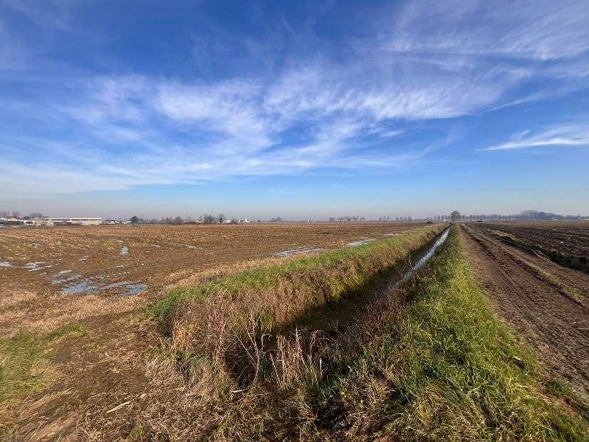 immobile terreno all'asta in SS 591 o Provinciale per Fombio - 26823 Castiglione d'Adda (LO) - 4