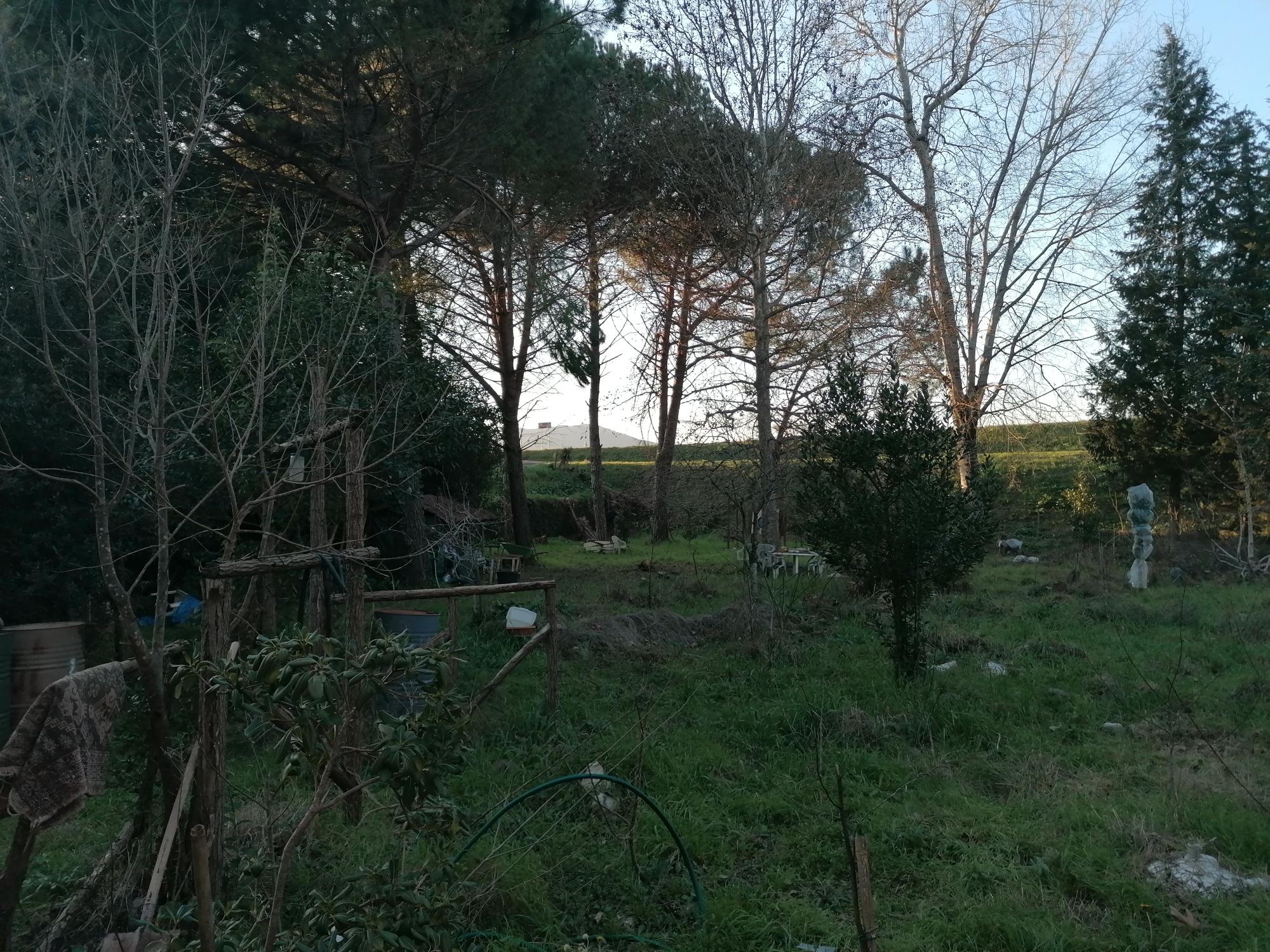 immobile appartamento all'asta in Via due Poggi n 16/A Nave - Lucca (LU) - 1