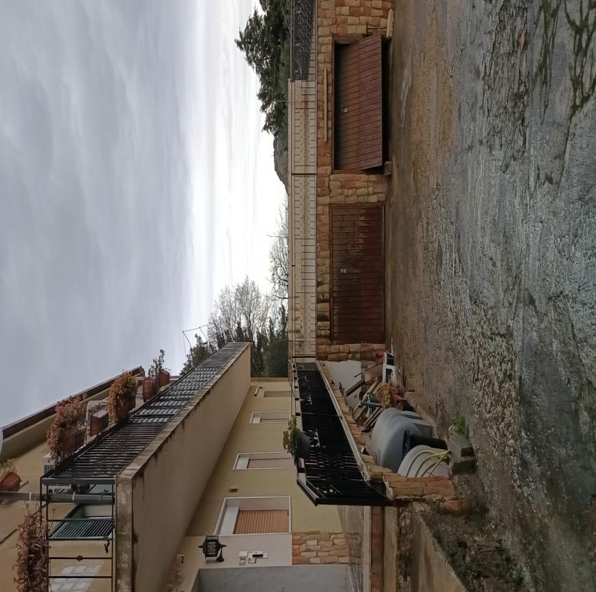 immobile appartamento all'asta in Via Mariano Gazzella n 15 - 95040 San Michele di Ganzaria (CT) - 1