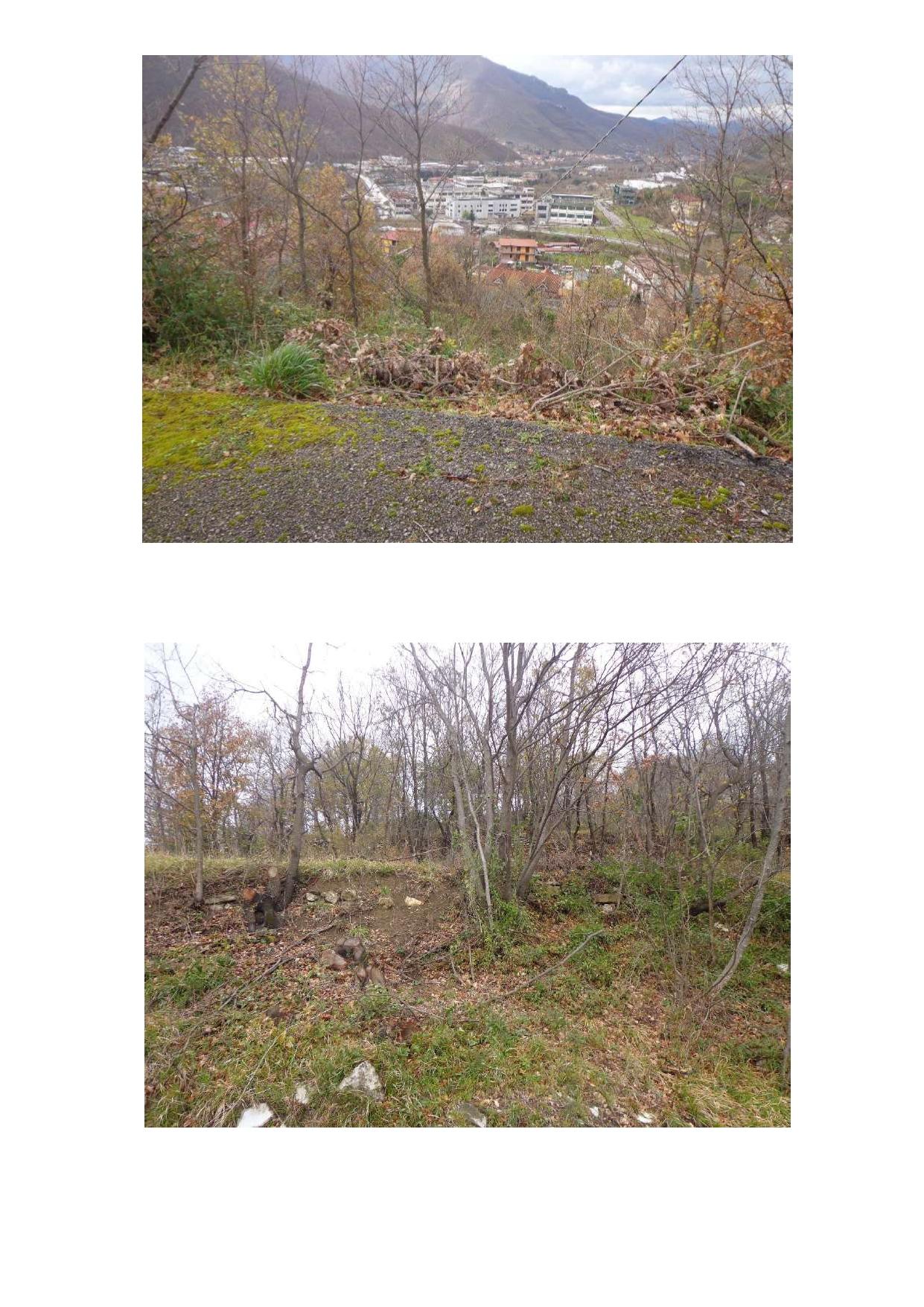 immobile terreno all'asta in via cerzeta Sant'Agata Irpina - 83029 Solofra (AV) - 5