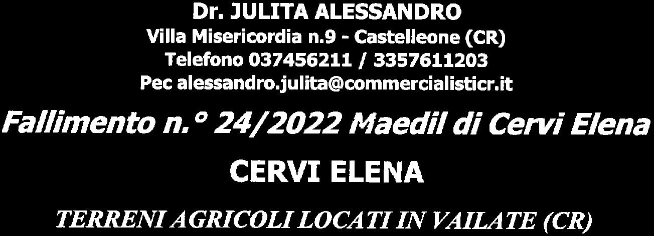 immobile terreno all'asta in vicinanze Cascina Vidoretto - Vailate (CR) - 3