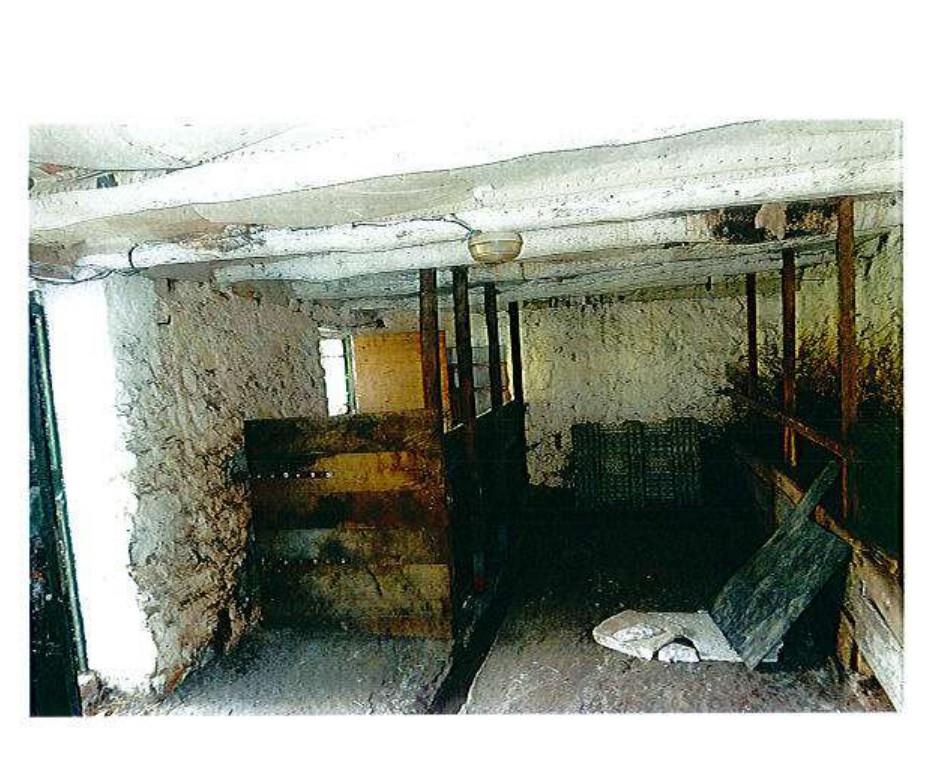 immobile appartamento all'asta in 23819 Primaluna LC, Italia Primaluna, Lecco - 3