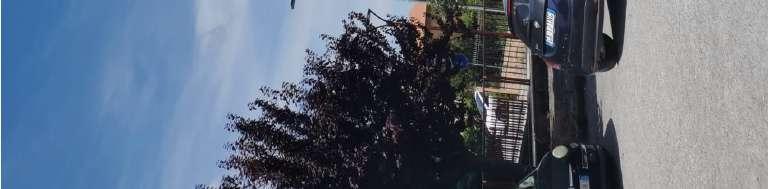 immobile appartamento all'asta in Via silvio pellico 12 Torino, Torino - 4