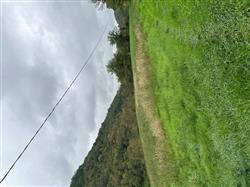immobile terreno all'asta in Loc Apsa, area Case della Giovannona - Macerata Feltria (PU) - 5