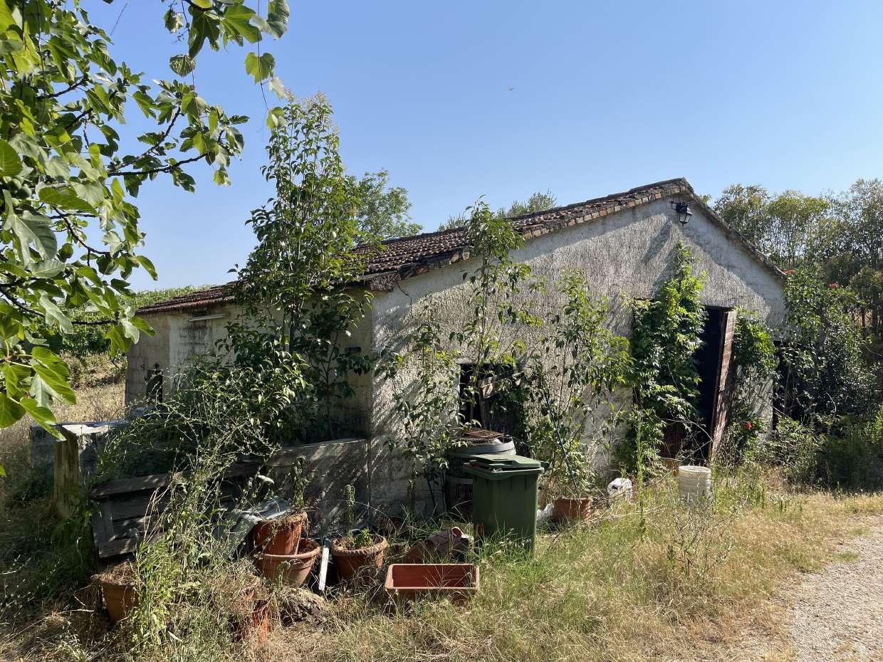 immobile villa all'asta in Via Colle Pozzo n 1 - 64024 Notaresco (TE) - 3