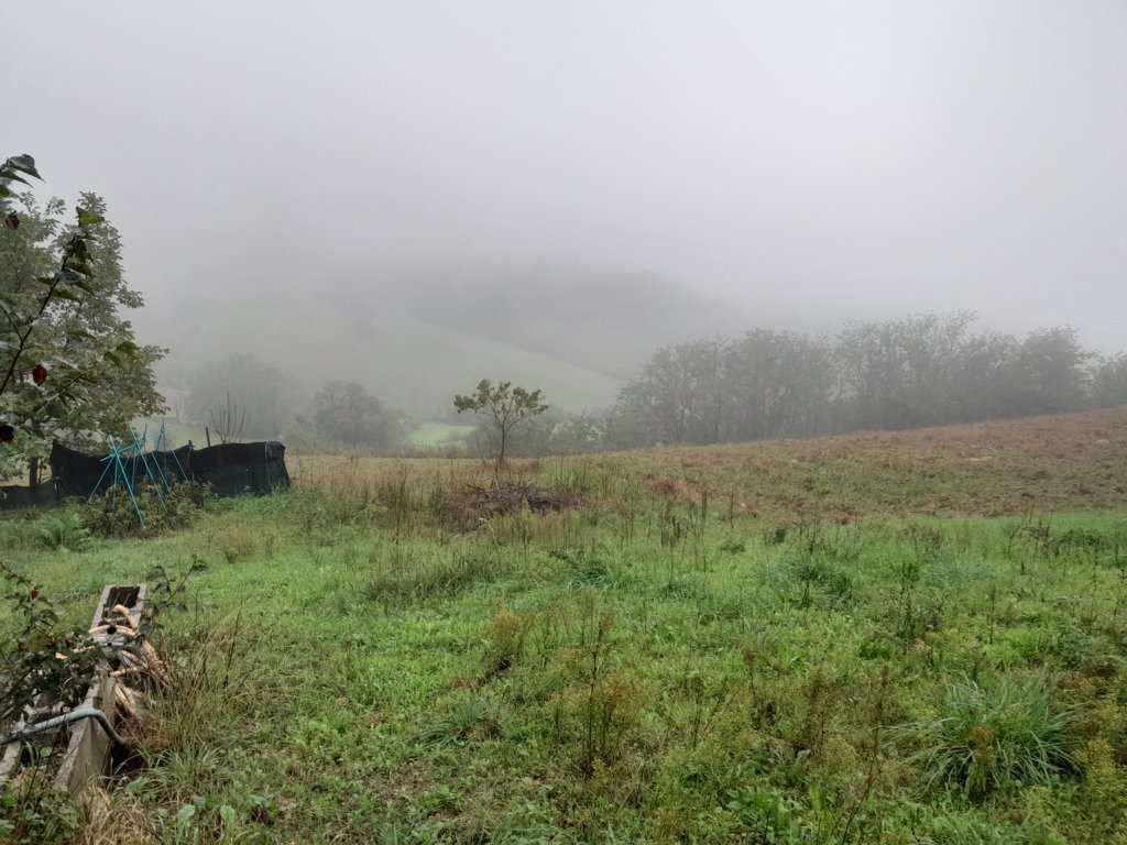 immobile terreno all'asta in Localita' Villa del Monte ex comune di Barchi snc - 61038 Terre Roveresche (PU) - 1