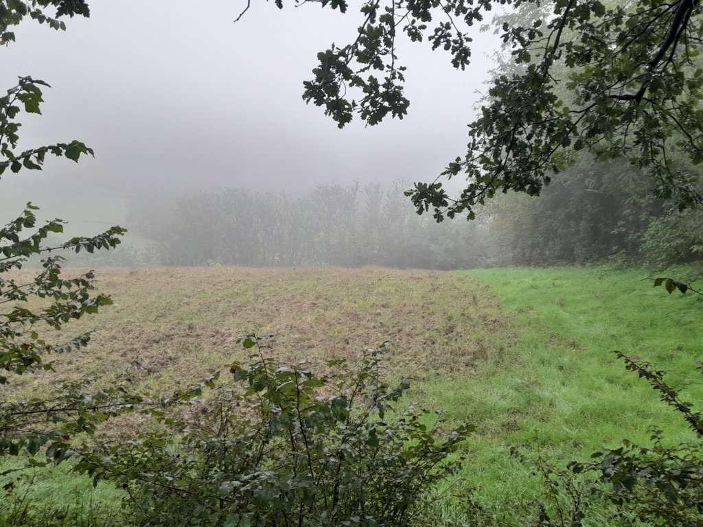 immobile terreno all'asta in Localita' Villa del Monte ex comune di Barchi snc - 61038 Terre Roveresche (PU) - 4