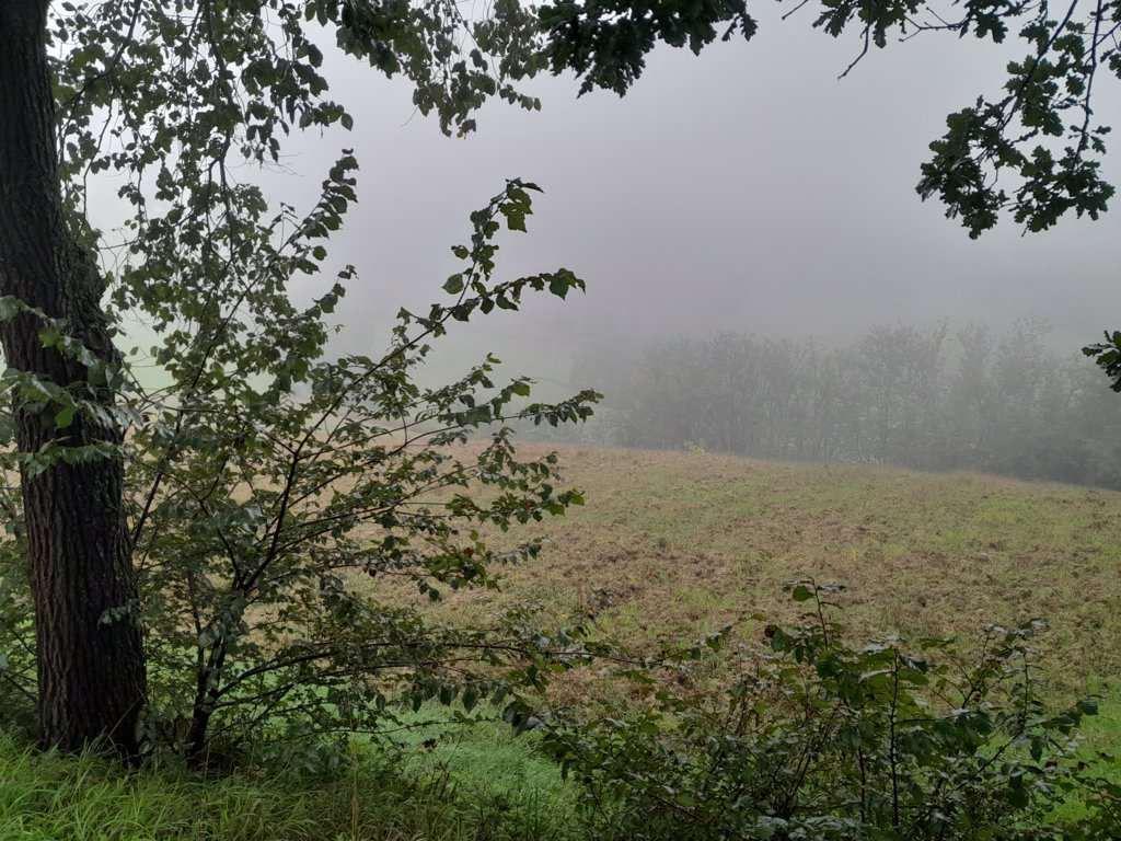 immobile terreno all'asta in Localita' Villa del Monte ex comune di Barchi snc - 61038 Terre Roveresche (PU) - 5