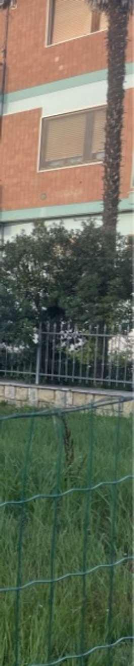 immobile terreno all'asta in tra via Europa e la ss n 4 Salaria - 63030 Colli del Tronto (AP) - 1