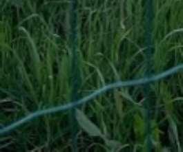 immobile terreno all'asta in tra via Europa e la ss n 4 Salaria - 63030 Colli del Tronto (AP) - 2