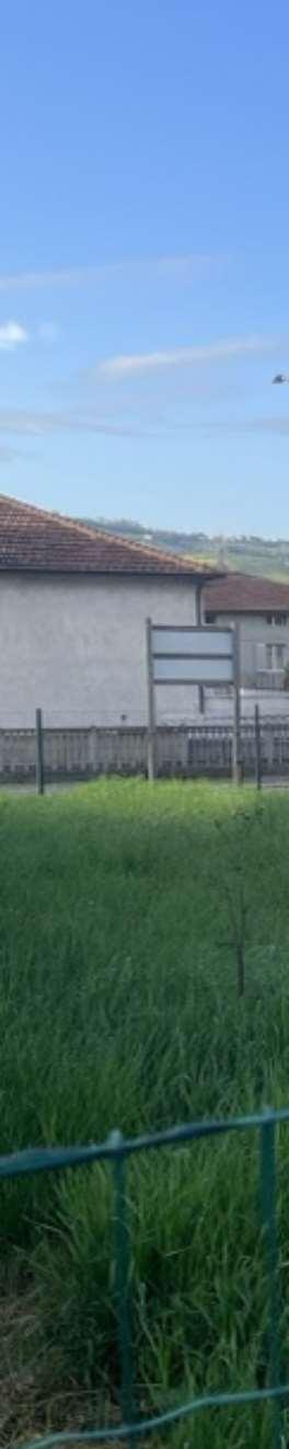 immobile terreno all'asta in tra via Europa e la ss n 4 Salaria - 63030 Colli del Tronto (AP) - 3
