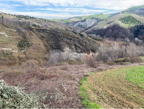 immobile terreno all'asta in Loc Feudo - 64020 Castellalto (TE) - 1