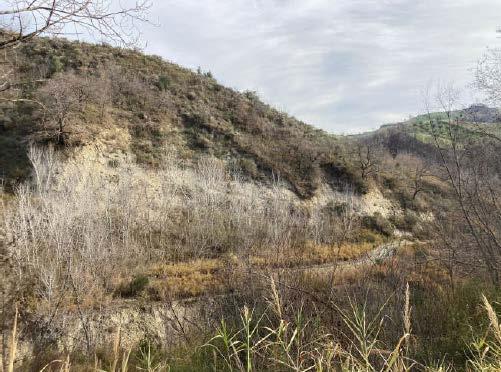 immobile terreno all'asta in Loc Feudo - 64020 Castellalto (TE) - 3