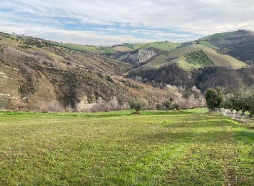 immobile terreno all'asta in Loc Feudo - 64020 Castellalto (TE) - 4