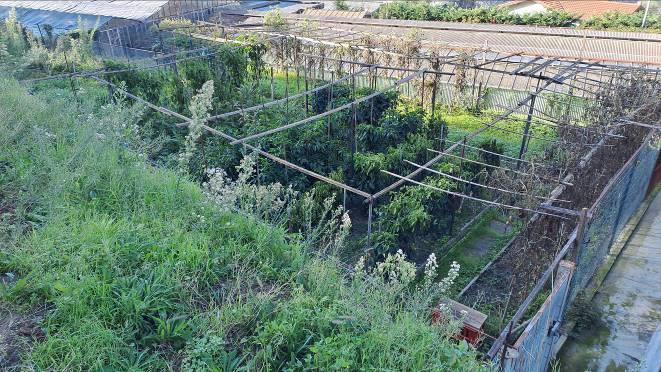 immobile appartamento all'asta in Via BRAIE 480 - 18033 Camporosso (IM) - 4