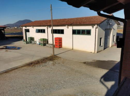 immobile appartamento all'asta in Località Casona, Via Palù Inferiore, 9 - 35020 Pernumia (PD) - 1