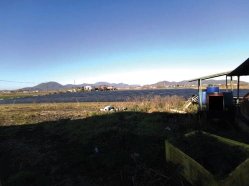 immobile appartamento all'asta in Località Casona, Via Palù Inferiore, 9 - 35020 Pernumia (PD) - 4
