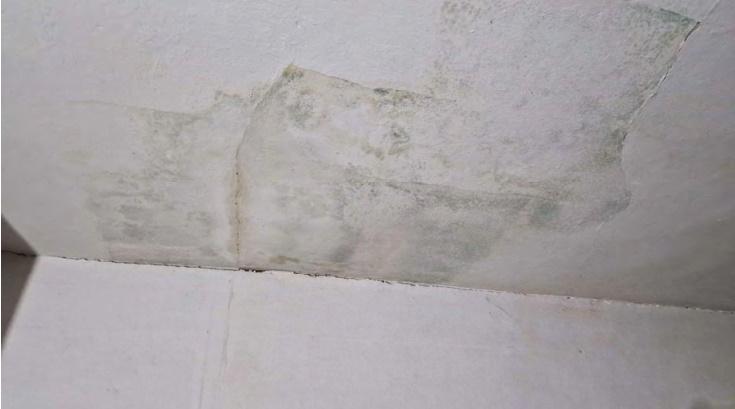 immobile appartamento all'asta in Via Veratica, 2040 - 45030 Salara (RO) - 1