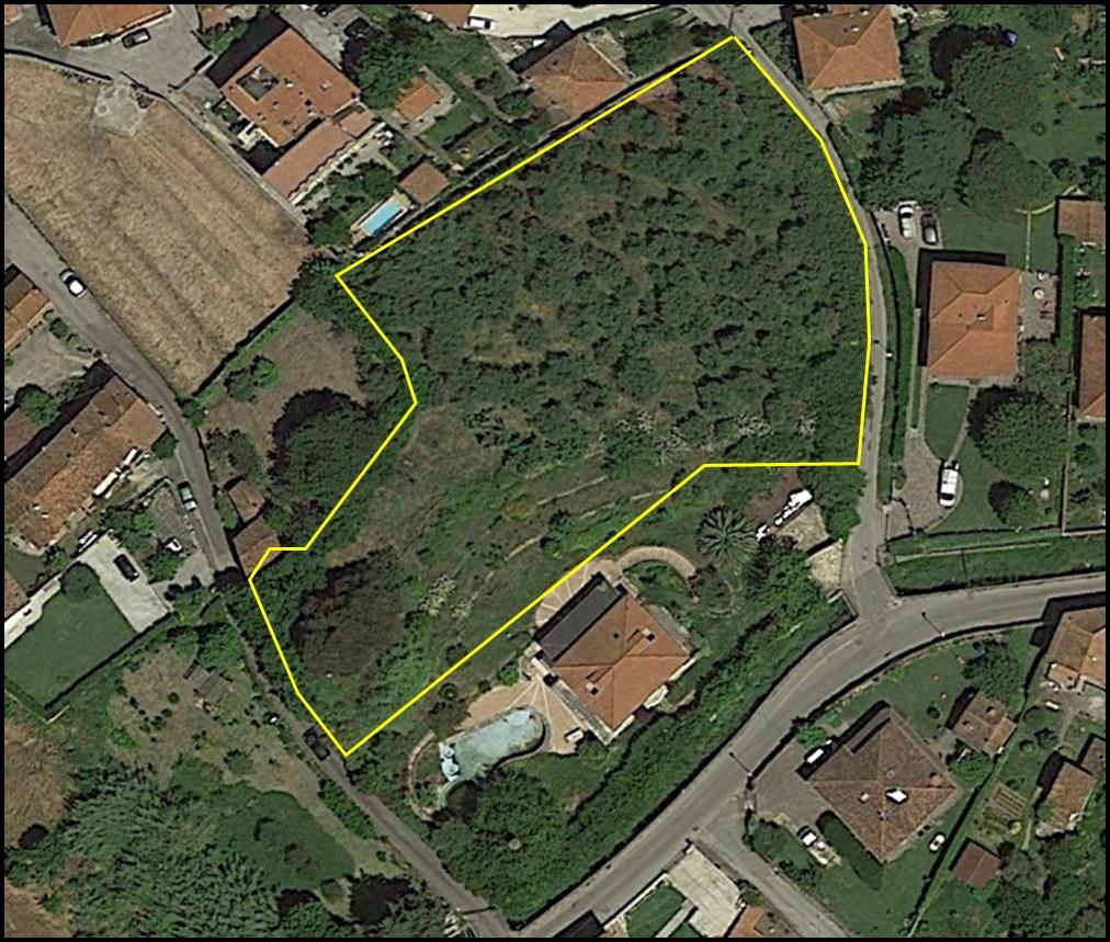 immobile terreno all'asta in Via della Quercia, 13, 55054 Bozzano LU, Italia - 55054 Massarosa (LU) - 4
